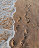 Your Ultimate Guide to Being the Best Friend a Small Boutique Ever Had!