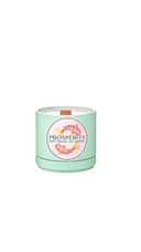 Prosperity Organic Candle
