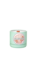 Ocean Mist Organic Candle