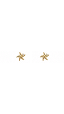 Starfish Stud Earrings